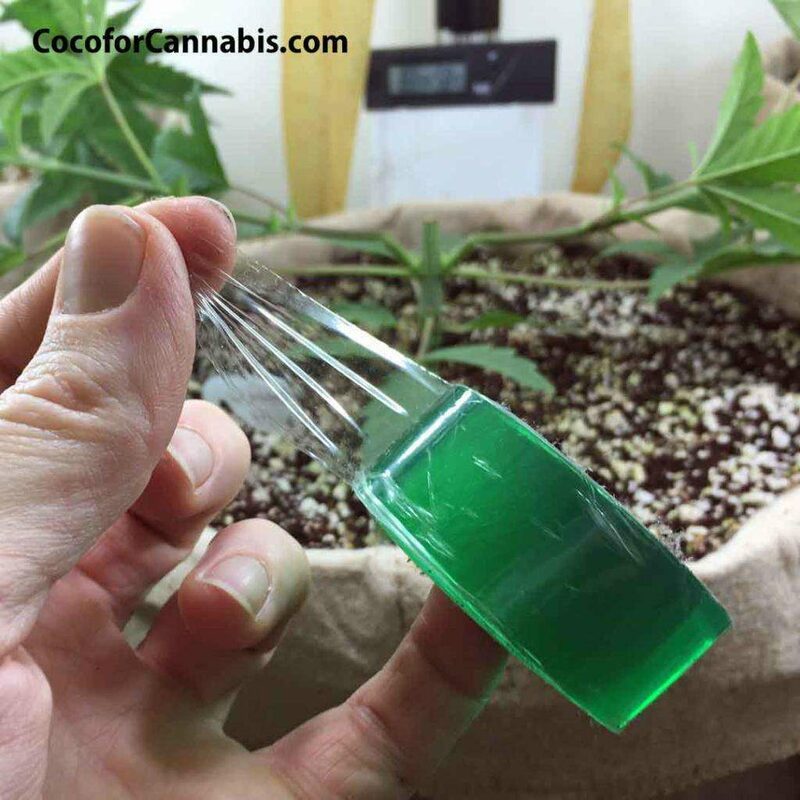 Step 1: Select sites to supercrop colas and preset soft-ties